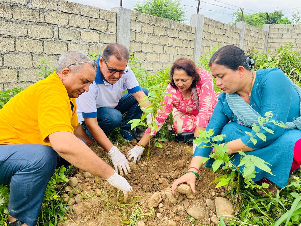 26th July 2025 - Tree plantation program completed at Chandrodaya Secondary School, Kamane-8