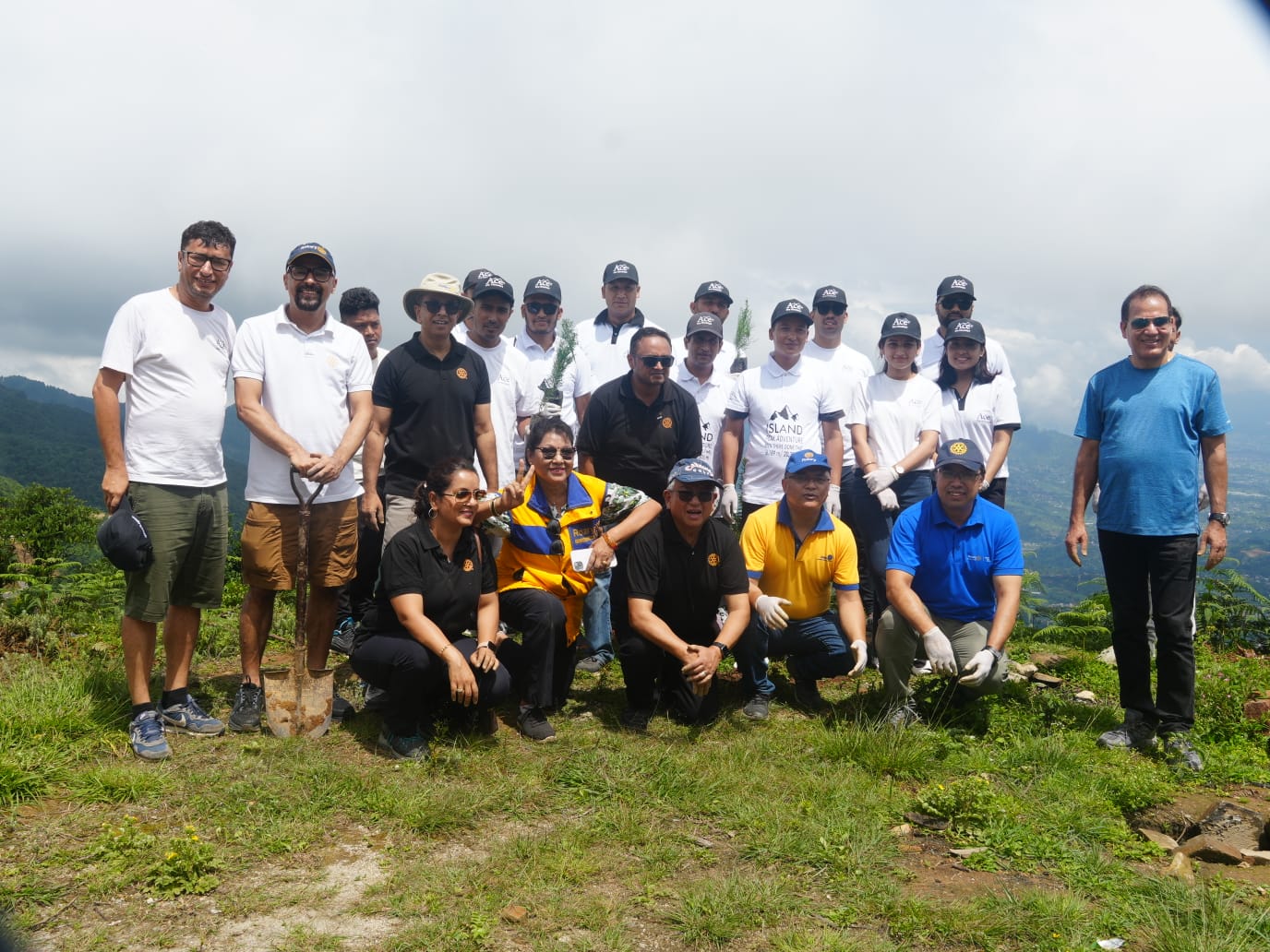 tree plantation project