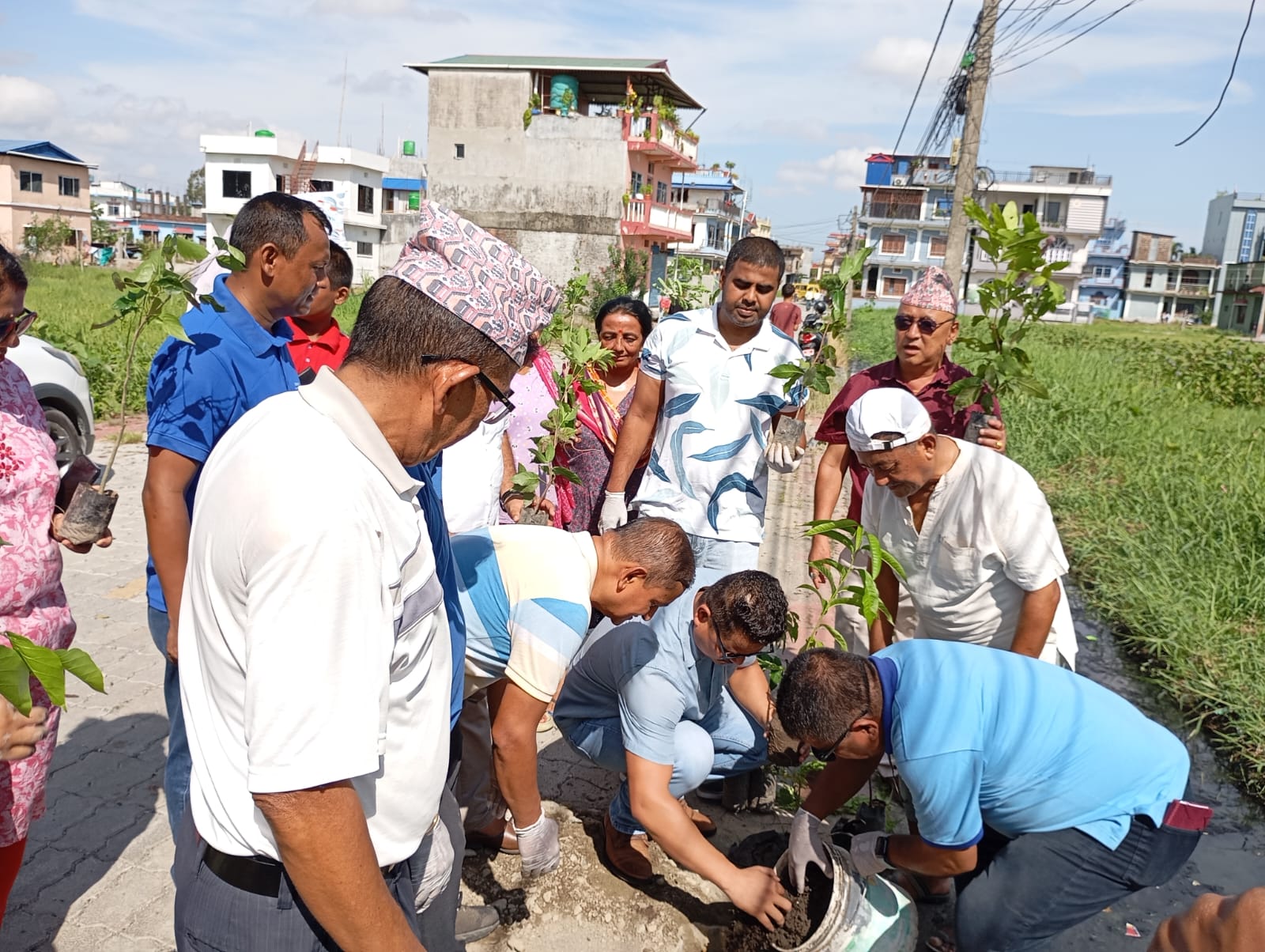 Tree Plantation Program (July 01, 2025)